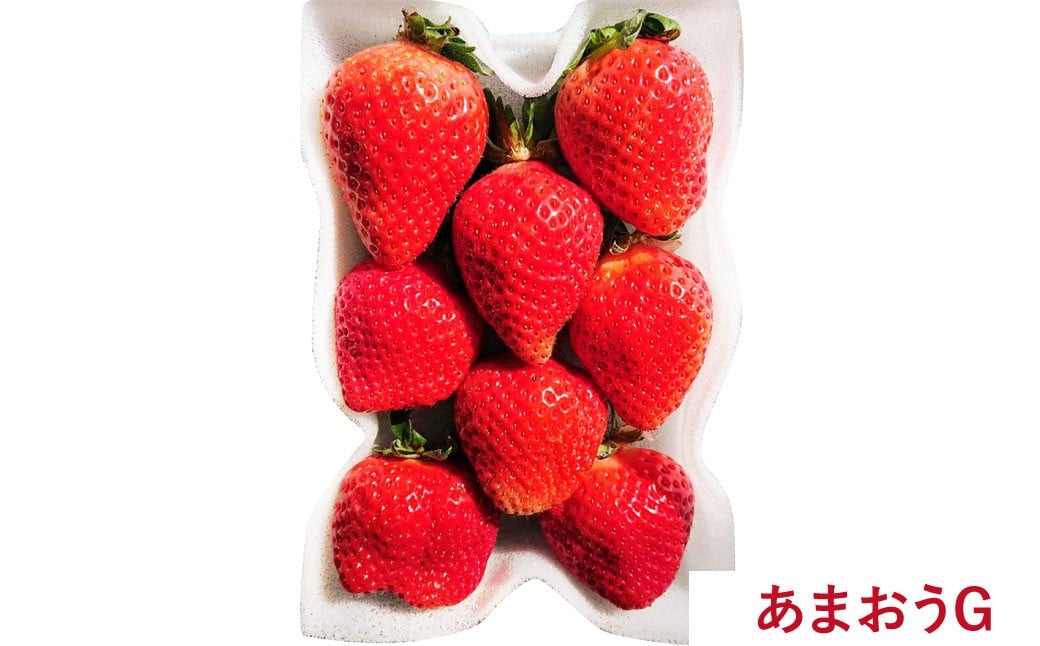 【予約受付・3回定期便】 あまおう満喫セット 【2026年3月上旬～8月発送予定】 （フレッシュあまおう ／ 冷凍あまおう ／ あまおうジェラート） 苺 イチゴ いちご あまおう ジェラート フルーツ