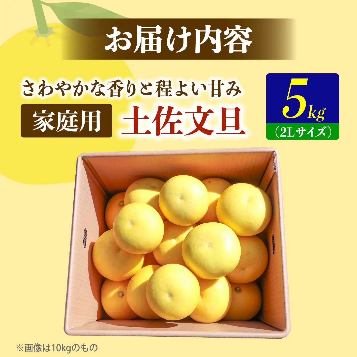 【先行予約】土佐文旦の創始 宮地文旦園の土佐文旦 家庭用2L 約5キロ 10~12個入り 5kg〈2027年3月上旬～4月下旬〉  高知県 土佐市【宮地文旦園】[BQBP002]