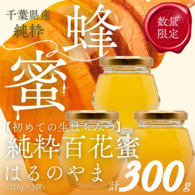 ふるさと納税 大網白里市 千葉県産「純粋はちみつ」はるのやま(百花蜜)3個