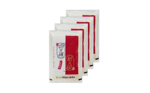 【令和8年産 先行予約】 新之助 無洗米 新潟県 上越産 20kg (5kg×4) 12か月 定期便 しんのすけ 五つ星お米マイスターのいるお店 お米 精米 米 ご飯 大黒屋商店