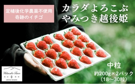 
                  【先行予約 | 2027年4月上旬より出荷開始】いちご 中粒 カラダよろこぶ 越後姫 約200g×2パック (18～30粒入り) イチゴ 苺 定植後化学農薬不使用 渡辺農園 上越市 新潟県 
                