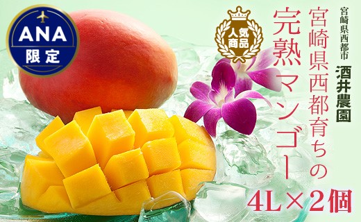 【ANA限定】西都産完熟マンゴー『大玉4L×2玉』（1ｋｇ以上） 酒井農園 宮崎西都産完熟マンゴー《先行予約》2025年発送分＜2.2-5＞果物 くだもの フルーツ 大玉 宮崎県西都市