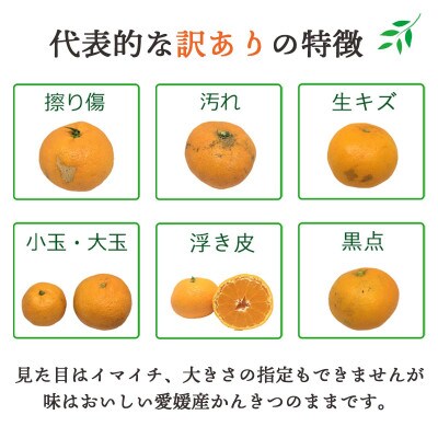 【ご家庭用】紅まどんな と同品種 愛媛果試28号 7kg みかん 八幡浜市【H25-362】【1716681】