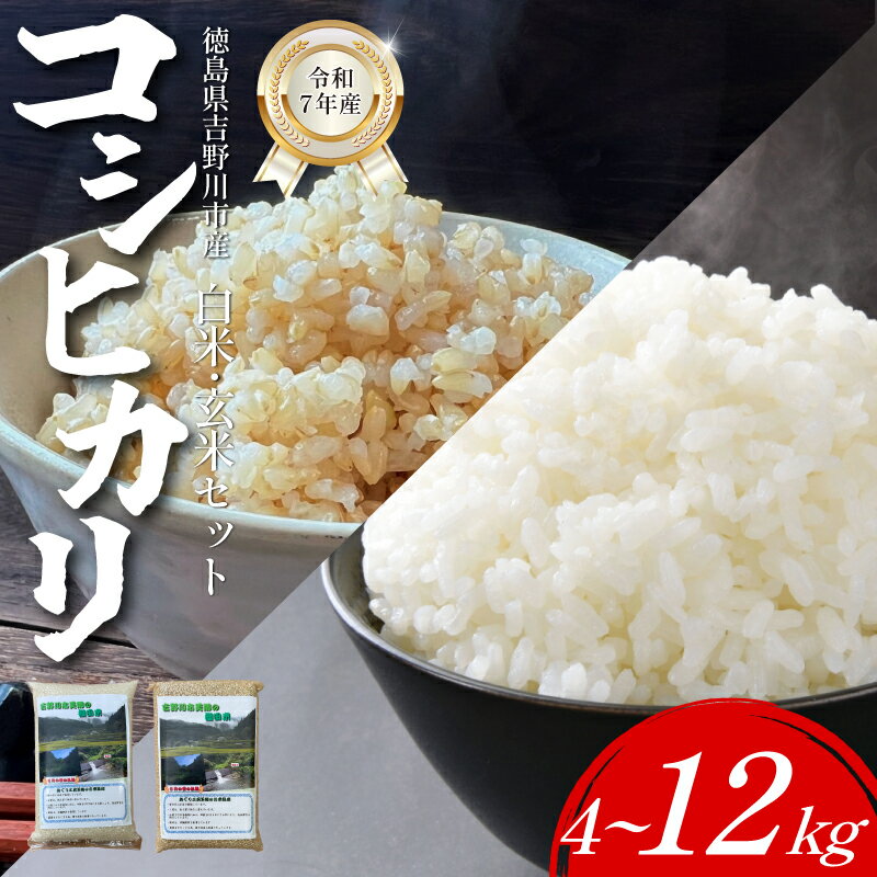 【ふるさと納税】 米 コシヒカリ 令和7年産 新米予約 白米 玄米 選べる 4kg から 12kg コシヒカリ 1袋2kg 小分け お米 こめ 棚田米 白米 精米 ごはん ご飯 白飯 ゴハン 徳島県 吉野川市