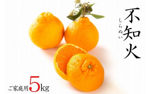 不知火約5kg 15～24玉入り 《ご家庭用》 訳あり 和歌山県産 農園直送 まごころ産直みかん【北海道・沖縄県・離島配送不可】みかん 柑橘 しらぬい デコポンと同じ品種