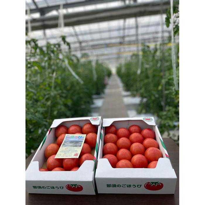 【ふるさと納税】【数量・季節限定2026年2月から5月収穫・発送】那須の五峰美トマト（糖度8度以上、約2kg）