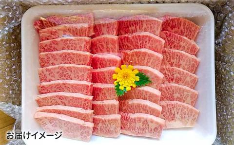 【数量限定毎月50】極上 やみつき 五島牛 カルビ 600g A4 A5 国産 BBQ 焼肉 すき焼き 五島市/肉のマルヒサ [PCV007]