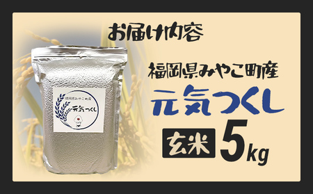 福岡県 みやこ町産 元気つくし （玄米） 5kg 【期間限定】 米 チャック付き チャック 真空パック 防虫 ごはん おにぎり おやつ 福岡県 福岡 九州 グルメ お取り寄せ