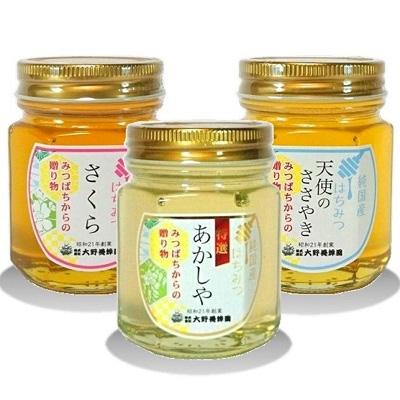 ふるさと納税 那須塩原市 選りすぐりの純国産はちみつ150g×3本セット