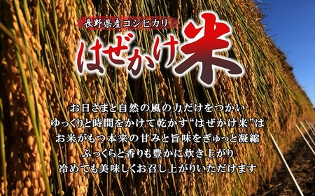 【令和7年産・白米2kg×6ヶ月定期便】長野県産こしひかり はぜかけ米(2025年11月中旬頃~順次発送/北海道・沖縄県・離島は配送不可)精米 産地直送 信州 長野県 佐久市 美味しい 先行予約 新米