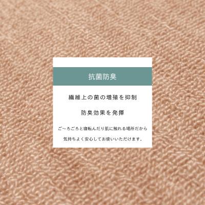 ふるさと納税 和泉市 カーペット 江戸間 6畳 防音 抗菌防臭 厚手 ツワブキ 261×352cm ベージュ 日本製 |  | 02