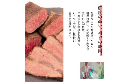 鹿肉ジャーキー 犬用 100g 2パック 1パック50g 三好市 ドリームチーム
