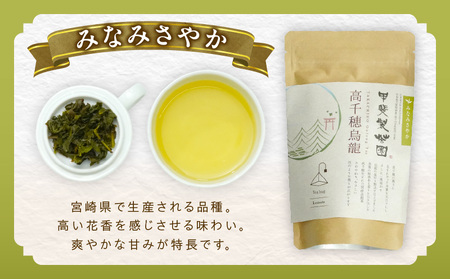【国産烏龍茶】高千穂烏龍（ティーパック）2種4袋セット みなみさやか12包×2袋＆こうしゅん12包×2袋 国産 烏龍茶 お茶 みなみさやか こうしゅん 茶葉 ティーパック 飲み物 ティータイム さわや