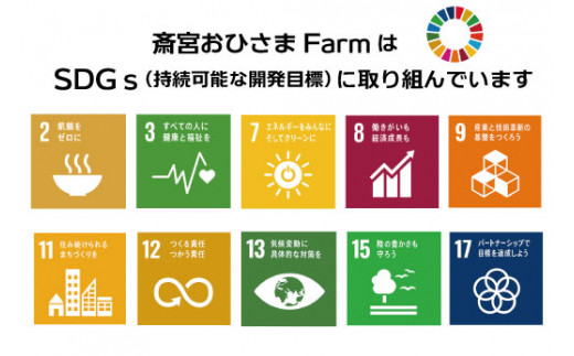 菊芋 パウダー 1kg（ 200g×5袋 ）SDGs エコ サスティナブル 粉末 パウダー イヌリン 国産 有機 いも イモ 芋 菊芋茶 菊芋チップス 話題 農薬不使用 野菜 ドレッシング 三重県産