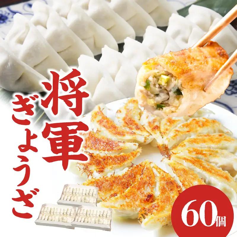 餃子専門店の餃子 将軍餃子 60個 A02033