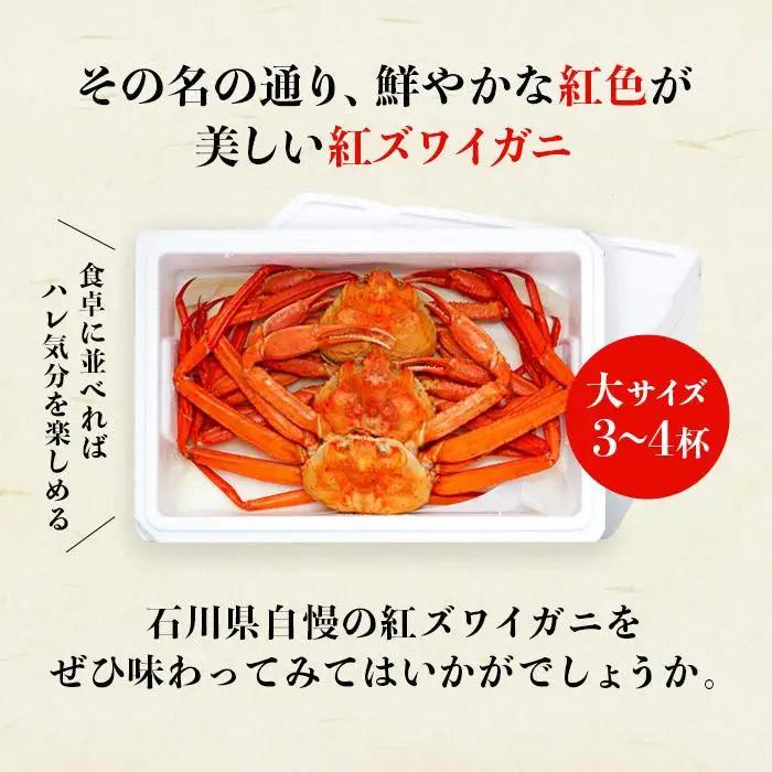 2026年11月発送【訳あり】金沢港より直送！ボイル紅ズワイガニ 大サイズ3～4杯セット かに 蟹