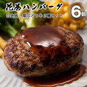 【ふるさと納税】白金豚と黒ぶだう牛 ハンバーグ・味噌deハンバーグ 6個 セット 豚肉 牛肉 ブランド肉