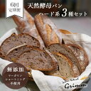 【ふるさと納税】6回定期便 天然酵母 ハード系パン3種セット《国産小麦 フランス産小麦 有機 無添加 パン バケット カンパーニュ 詰め合わせ セット 朝食 京都》☆月間MVPふるさと納税賞 第1号※北海道・沖縄・離島への配送不可