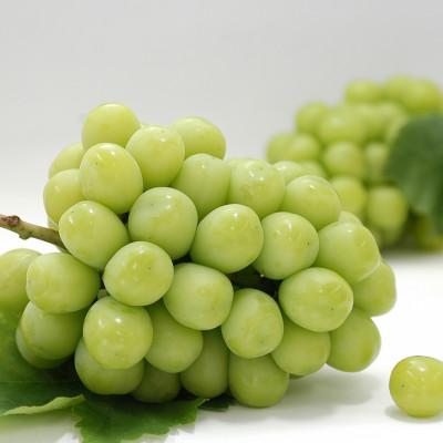 ふるさと納税 坂出市 【発送月固定定期便】坂出市フルーツ定期便全12回 |  | 01