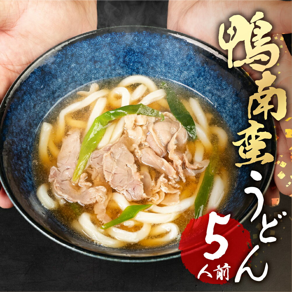 【ふるさと納税】豊橋産 あいち鴨 南蛮 うどん 5セット 約5人前 和風 惣菜 セット 簡単調理 麺 本格 肉うどん 鴨南蛮 鴨 鴨肉南蛮 南蛮うどん 豊橋市 送料無料