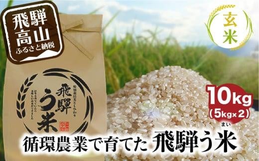 【数量限定/先行受付】令和7年産 飛騨う米 玄米 10kg | 有機肥料 100％ 米 お米 受賞米 米コン3年連続特別優秀賞受賞米 飛騨高山 株式会社拳 GW004