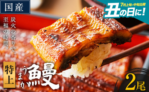 うなぎ 特上サイズ 2尾 国産 ランキング 獲得 鰻 真空パック おすすめ うなぎの蒲焼 《丑の日に！7月上旬〜7月中旬出荷》 有頭 ふるさとのうぜい 鶏炭火焼 特上 簡易包装 ウナギ unagi 蒲焼 秋 冬 旬 配送時期 冷凍