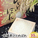 【ふるさと納税】【林ライス】令和6年度米 岩沼産 ひとめぼれ 10kg　【 お米 ご飯 主食 炭水化物 ブランド米 発送 直前 精米 新鮮 おにぎり お弁当 宮城県産 産地直送 朝食 昼食 夕食 】　お届け：2024年10月中旬頃より順次出荷予定