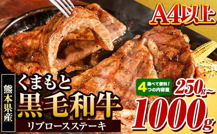 くまもと黒毛和牛 リブロースステーキ 選べる 内容量 250g 500g 750g 1000g 牛肉 冷凍 《30日以内に出荷予定(土日祝除く)》 くまもと黒毛和牛 黒毛和牛 冷凍庫 個別 取分け 小分け 個包装 ステーキ肉 にも リブロースステーキ---hkw_fribu_30d_r7_10000_250g---