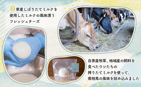 手作りモッツァレラチーズ | モッツアレラチーズ 福島県 南相馬市
