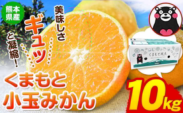 
            訳あり みかん くまもと小玉みかん 約 10kg (2.5kg×4箱)  蜜柑 柑橘 《2025年10月中旬-12月末頃出荷》 ご家庭用 小玉 たっぷり 熊本県産 S-3Sサイズ 期間限定 フルーツ 10000 g 旬 柑橘 長洲町
          