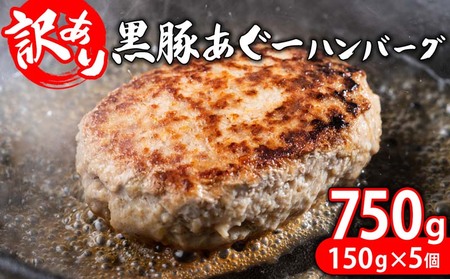 【訳あり】あぐー豚肉ハンバーグ　750g（150g×5個） 簡易包装シリーズ【黒豚あぐー】 訳あり ハンバーグ 訳あり ハンバーグ 訳あり ハンバーグ