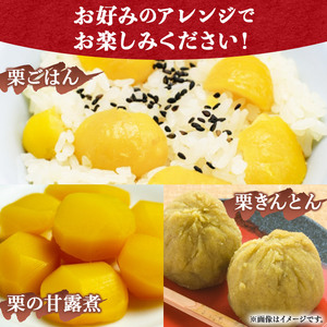 【先行予約】＜厳選 大粒むき栗 合計600g（200g×3袋）＞ くり 生栗 剥き栗 マロン フルーツ 果物 モンブラン 栗ご飯 栗きんとん 栗の甘露煮 秋の味覚 特産品 国産 宇都宮物産 愛媛県 西