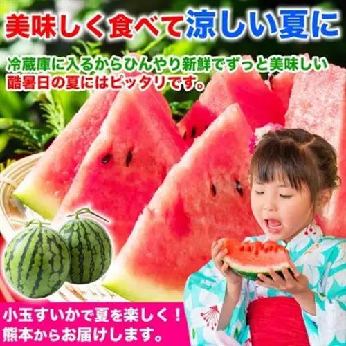 熊本県産 旬 甘い シャリ感 小玉すいか スイカ 約4.5kg以上(3～5玉入り)(益城町)【1684314】