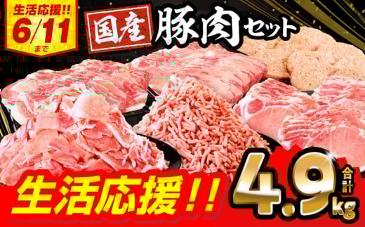 【2025年6月発送】【期間・数量限定】大満足豚肉ロースバラエティセット4.9kg_M132-094-UP-jun