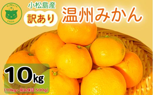 【2026年10月20日~発送】 訳あり みかん 温州みかん10kg（10kg+傷み保証500g） ミカン 蜜柑 甘い フルーツ 柑橘 ジュース 小松島市 オススメ 人気 ふるさと納税 10kg