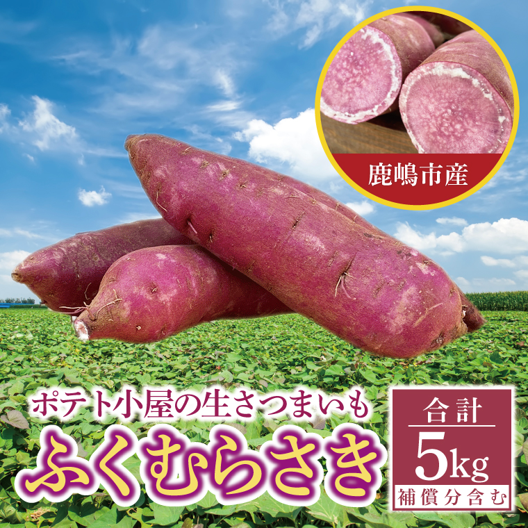 【先行予約】ポテト小屋の生さつまいも ふくむらさき 計 約5kg（４kg+約25％補償分）【鹿嶋市 減農薬 熟成 貯蔵 サツマイモ 紫いも 甘い 5キロ 10000円以内 1万円以内】 (KBR-12)