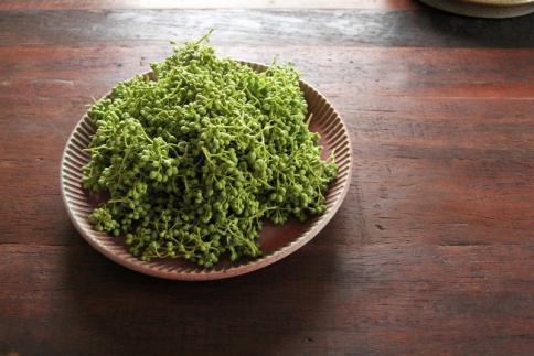【熊野牛】赤身スライス すき焼き・しゃぶしゃぶ 700g (粉山椒付)