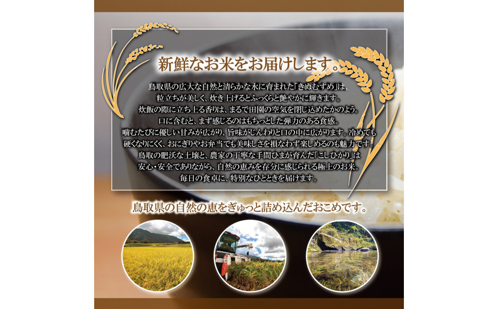 令和7年産　大上農園きぬむすめ 玄米5kg