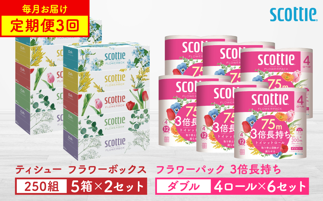 【定期便3回】【毎月1回お届け】【スコッティ】ティシュー フラワーボックス 250組（5箱パック×2セット）＋フラワーパック 3倍長持ち（4ロール(ダブル)パックx6セット）ティッシュ トイレットペーパー 日用品