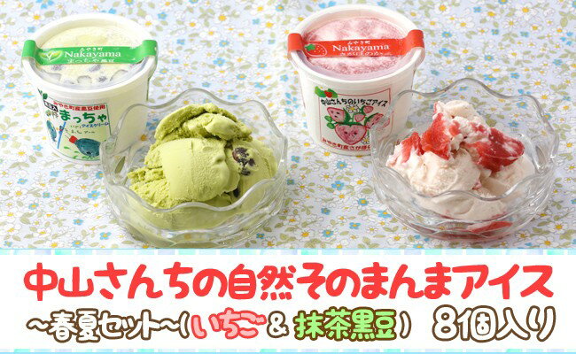【ふるさと納税】農家が考えたなめらかアイス8個（いちご＆黒豆抹茶）（AE033）