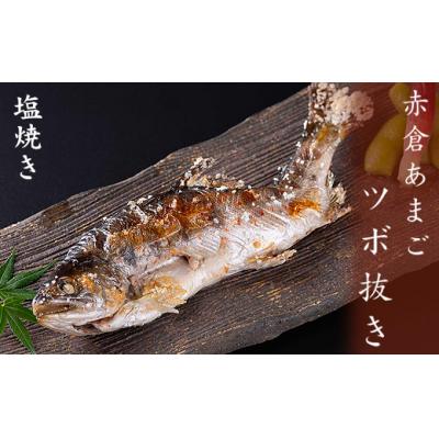 ふるさと納税 熊野市 あまごツボ抜き　10本入り　下処理済み　塩焼きや色々なお料理に |  | 01