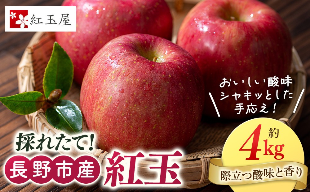 
                  紅玉屋 長野市産 紅玉 4kg【2026年9月下旬以降の出荷分】（紅玉屋） |  りんご 林檎  フルーツ 果物 ギフト  人気 おすすめ 送料無料 長野県 長野市 信州 信濃 ふるさと納税
                