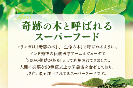 ＜ひなたモリンガパウダー50g×2P＞(計100g・50g×2個)宮崎県三股町産モリンガ使用「ひなたモリンガ」パウダー50g入り【MI307-ys】【吉原建設株式会社】