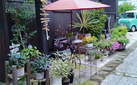 ドライフラワーのお正月しめ縄飾り【ナチュラル素材】〈2Wayタイプ〉注連縄 標縄 七五三縄 しめ飾り 注連飾り 〆縄 しめなわ 正月飾り F4B-0730