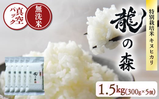 龍の森 真空パック キヌヒカリ (無洗米) 300g×5個 お米 米 無洗米 1.5kg 真空包装 旨味 甘み 特別栽培米 AM酵素農法 長期保存 パック 小分け 2合 便利 ごはん 白米 備蓄 京都 南丹市 1万円 10000