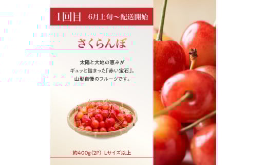 【2026度年発送】≪先行受付≫ 人気フルーツバラエティ６種便【定期便全4回】