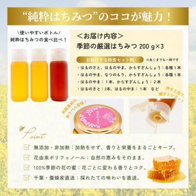 ふるさと納税 大網白里市 千葉県産「厳選純粋はちみつ」200gボトル×3本【ランダムにセレクト】 |  | 03