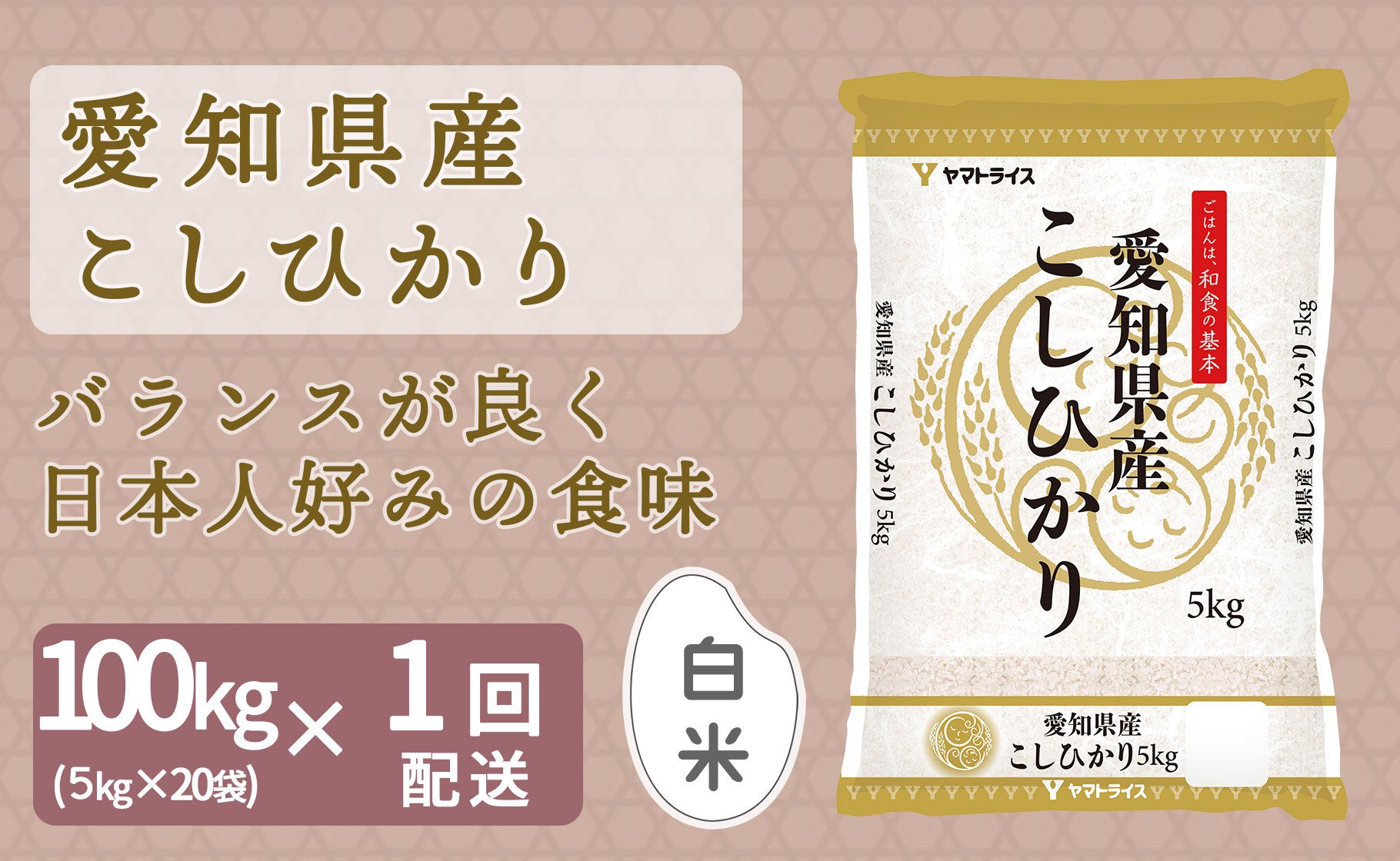 
                  （数量限定）【精米】愛知県産コシヒカリ 100kg（5kg×20袋） 安心安全なヤマトライス 米 白米 国産 精米 大容量 5キロ こめ コメ ごはん 新米 令和7年 H074-689
                