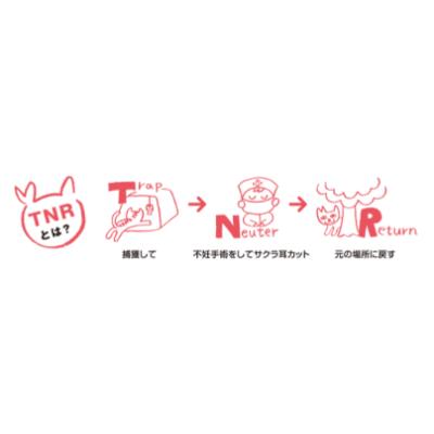 ふるさと納税 富士吉田市 【訳あり】コーヒー 豆 800g ふるさと納税で動物保護 さくらねこ 野良猫 TNR活動 支援 |  | 02