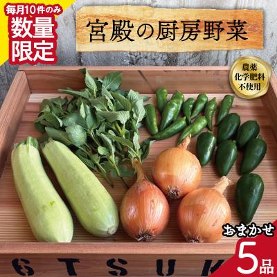 ふるさと納税 明和町 宮殿の厨房野菜おまかせ5品　セット